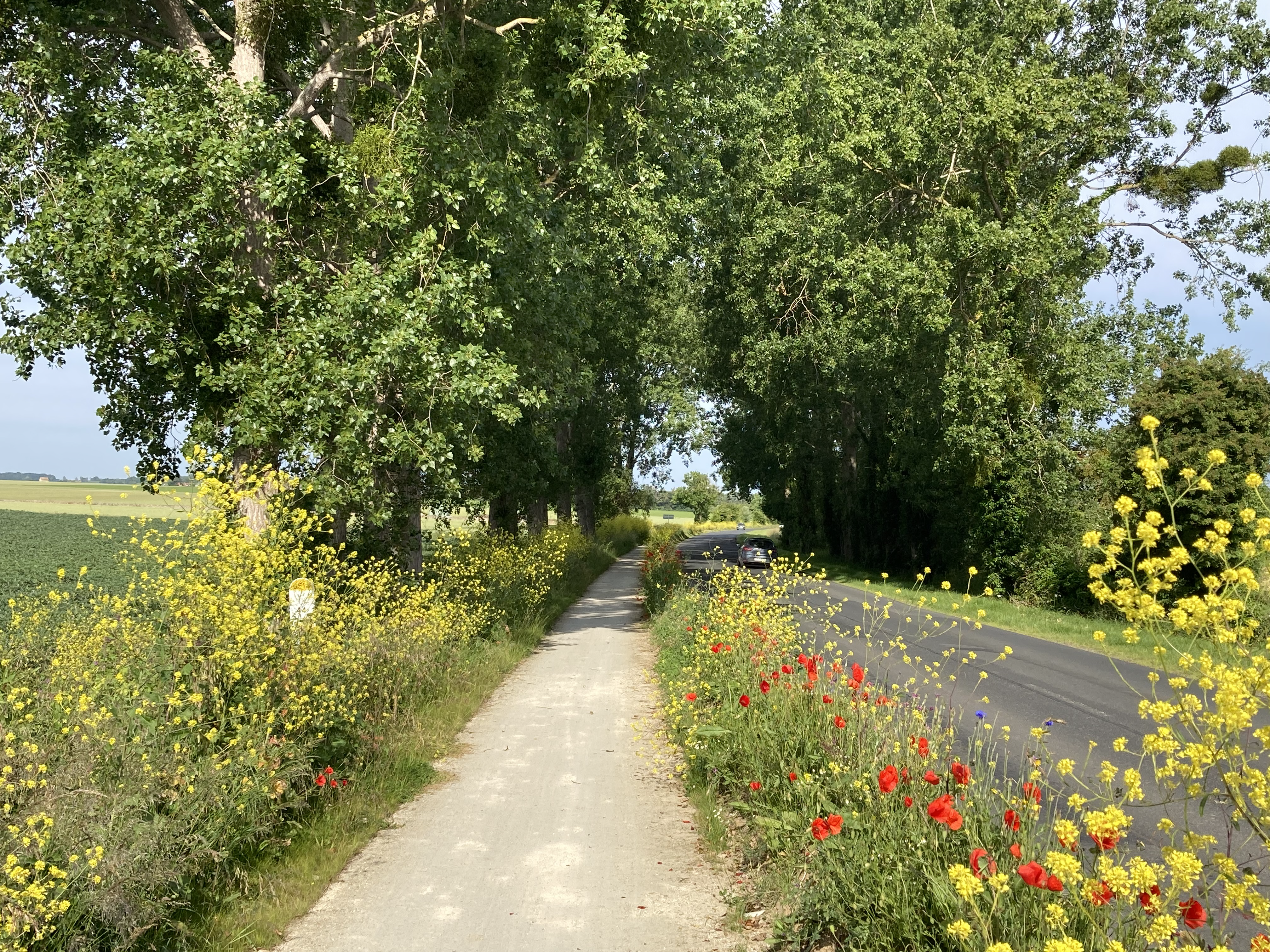 courseulles (2)-01